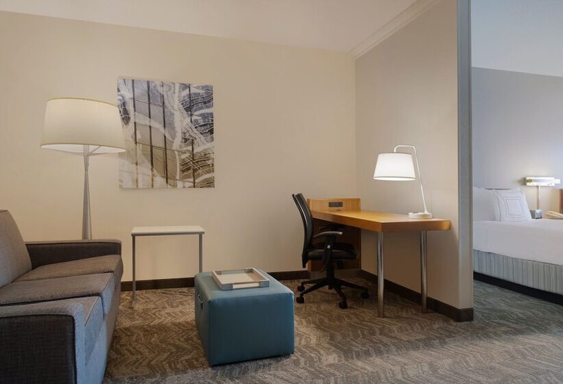 스위트, Springhill Suites By Marriott Newark International Airport