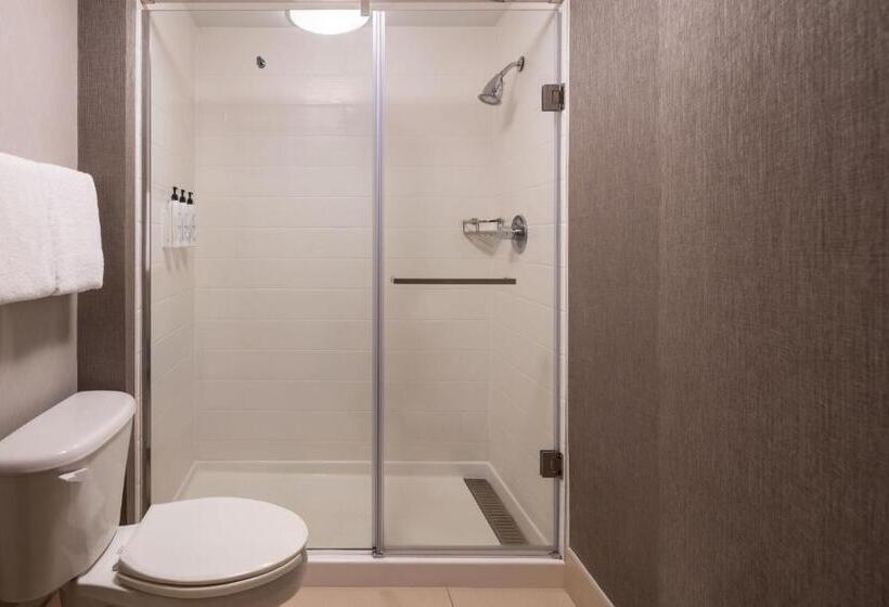Студио Стандарт Кровать Кинг, Springhill Suites West Mifflin