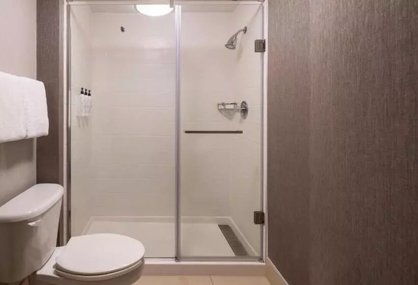 استودیو استاندارد با تخت کینگ, Springhill Suites West Mifflin