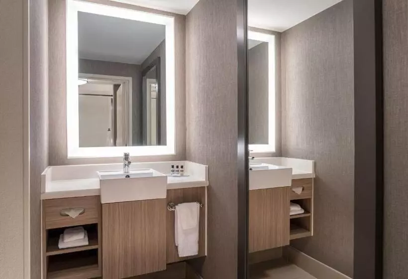 استودیو استاندارد با تخت کینگ, Springhill Suites West Mifflin