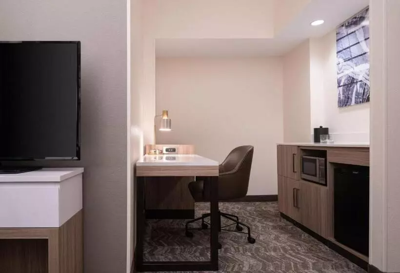 استودیو استاندارد با تخت کینگ, Springhill Suites West Mifflin