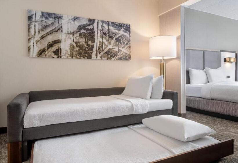 סטודיו סטנדרט, מיטה זוגית, Springhill Suites West Mifflin