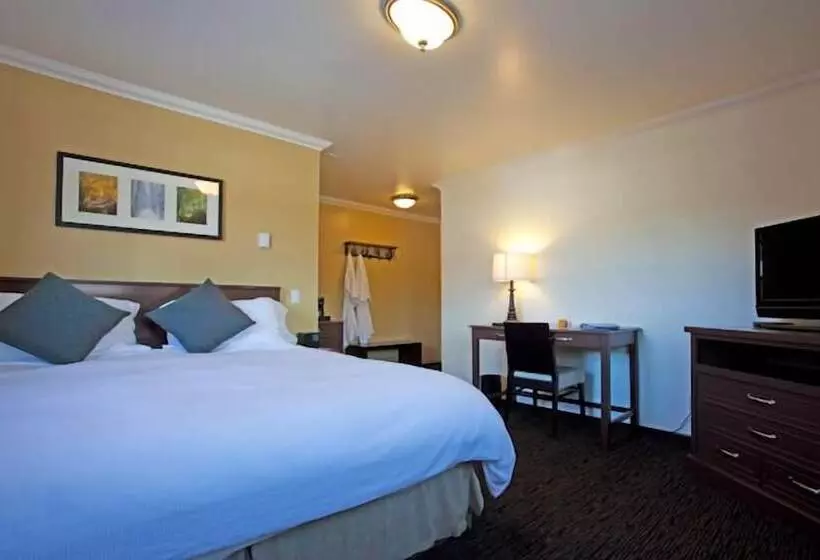 اتاق استاندارد, The Mammoth Creek Inn