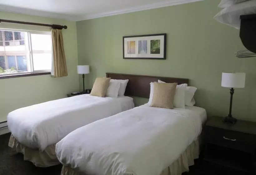 اتاق استاندارد یک نفره, The Mammoth Creek Inn