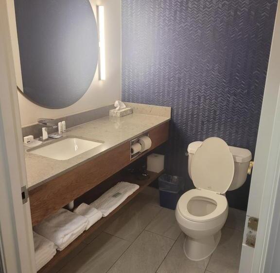 استودیو استاندارد با تخت کینگ, Fairfield By Marriott Inn & Suites Helena North