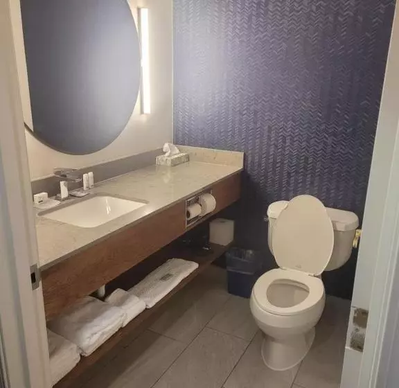 障害者適応デラックスルーム, Fairfield By Marriott Inn & Suites Helena North