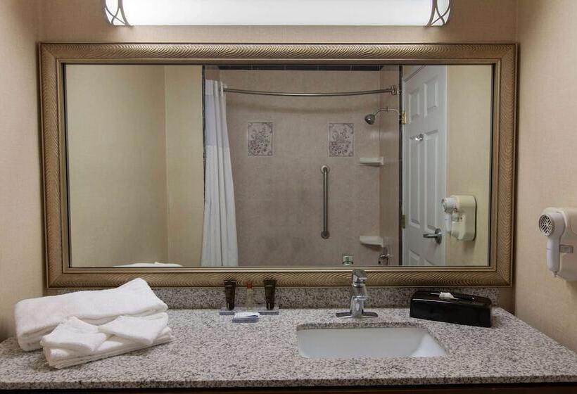 Люкс Повышенной Комфортности, Wingate By Wyndham Houston / Willowbrook