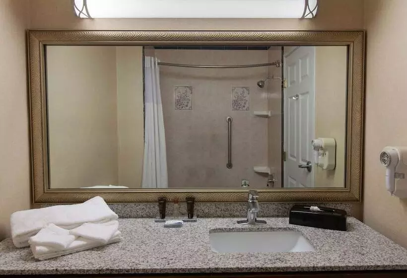 デラックススイート, Wingate By Wyndham Houston / Willowbrook