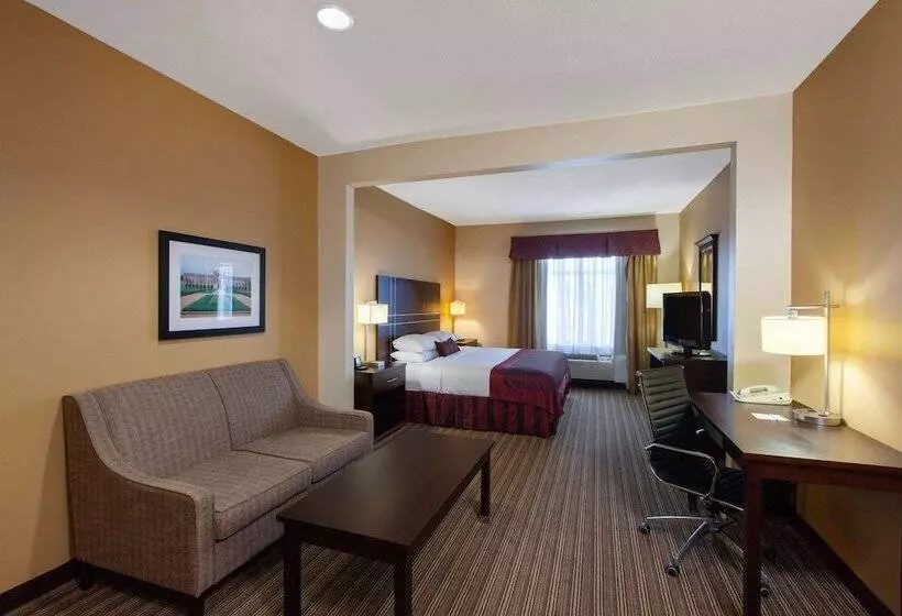 デラックススイート, Wingate By Wyndham Houston / Willowbrook