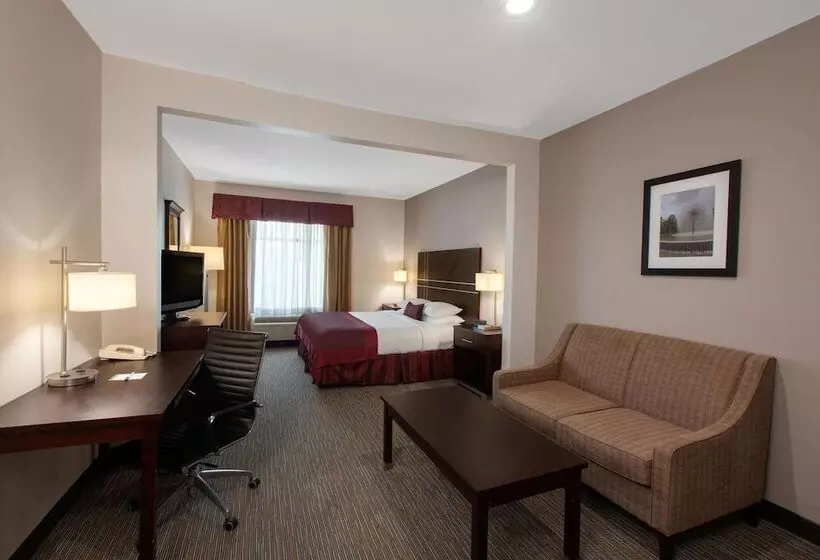 デラックススイート, Wingate By Wyndham Houston / Willowbrook