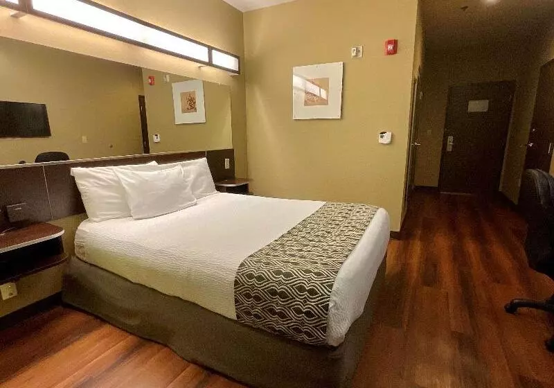 اتاق دلوکس مخصوص معلولین, Wingate By Wyndham Airport   Rockville Road