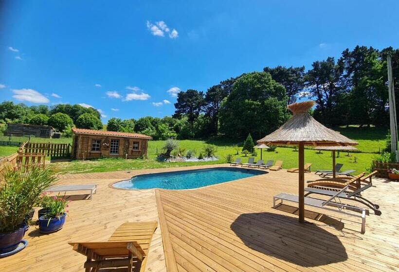 带大床的标准间, Gîte Et Chambres D'hôtes Du Petit Moulin