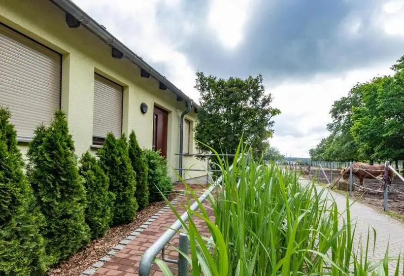 １ベッドルームアパートメント, Pension Zum Reiterhof