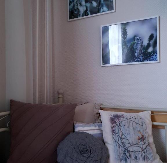 غرفة قياسية, Majoitus Hermanni