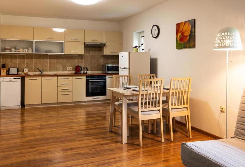 带1个卧室的公寓, Penzion Tyra