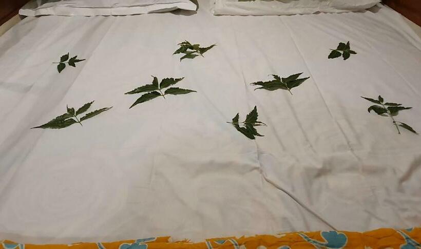 شقة غرفتين, Shree Suites