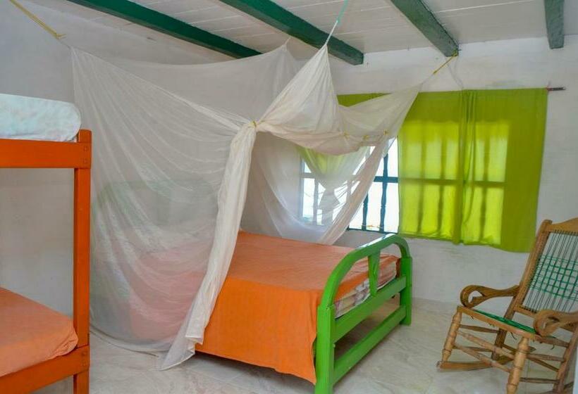 חדר סטנדרט לארבעה, Puntanorte