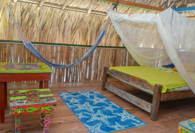 חדר סטנדרט, Puntanorte