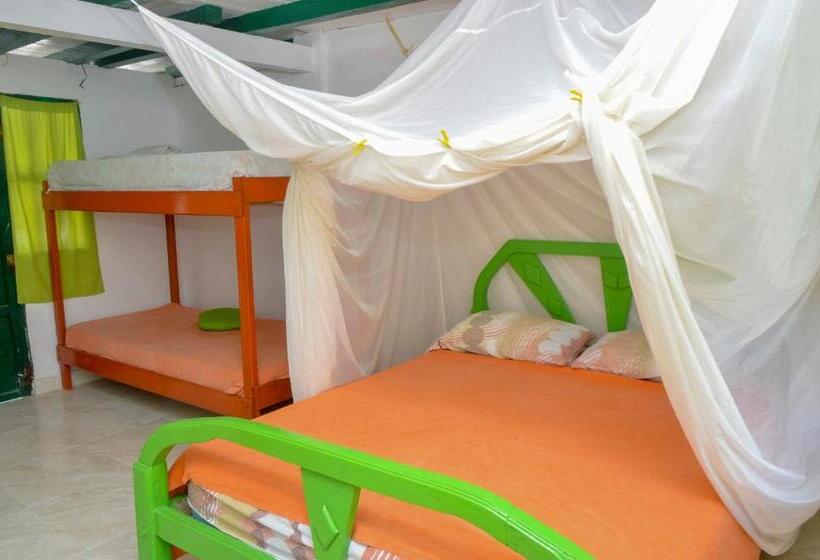 חדר סטנדרט לארבעה, Puntanorte