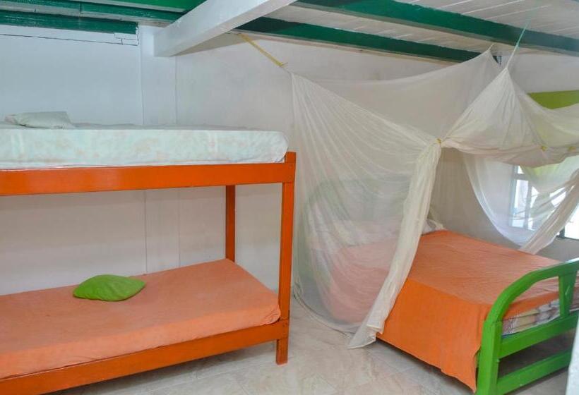 חדר סטנדרט לארבעה, Puntanorte