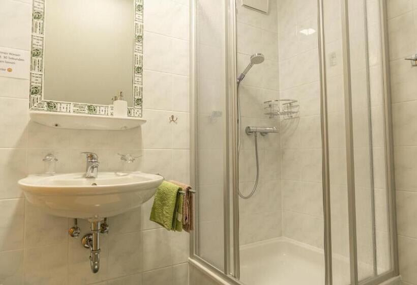 חדר סטנדרט, Winzerhof Strablegg