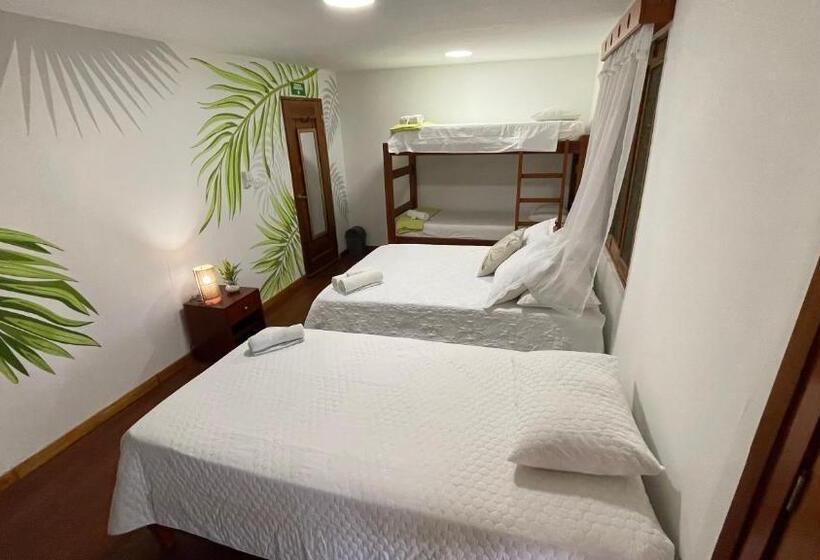 غرفة قياسية ثلاثية, Ecohotel Yachay Tayrona Dentro Del Parque Tayrona