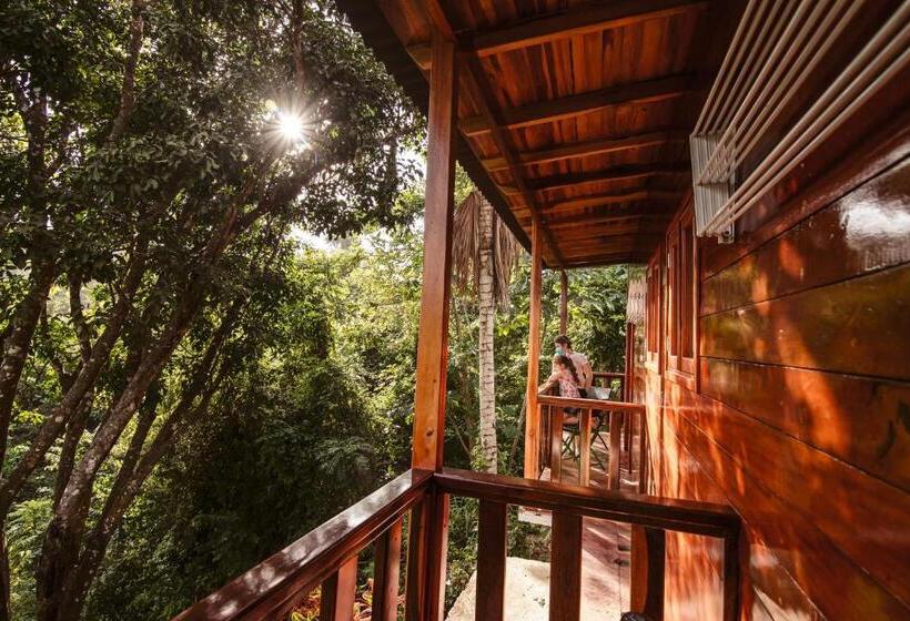 غرفة قياسية, Ecohotel Yachay Tayrona Dentro Del Parque Tayrona