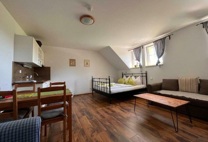 스탠다드 스튜디오, Penzion Farma žleby