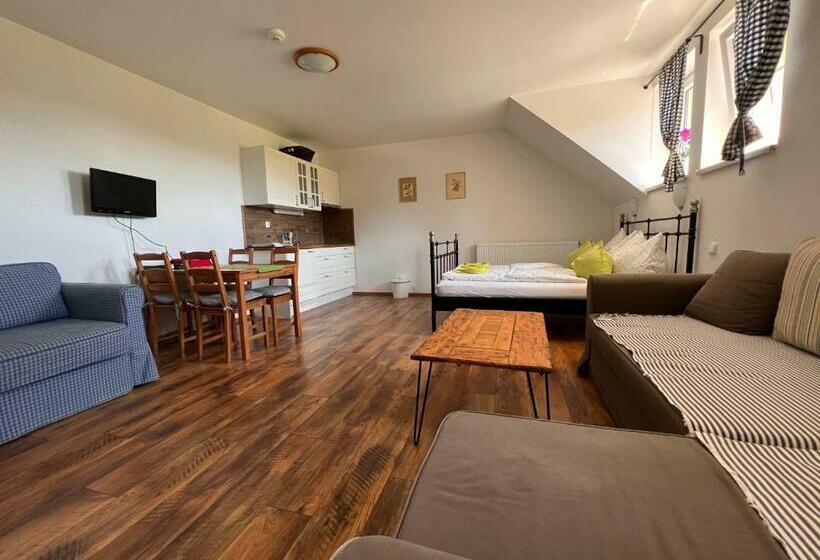 스탠다드 스튜디오, Penzion Farma žleby