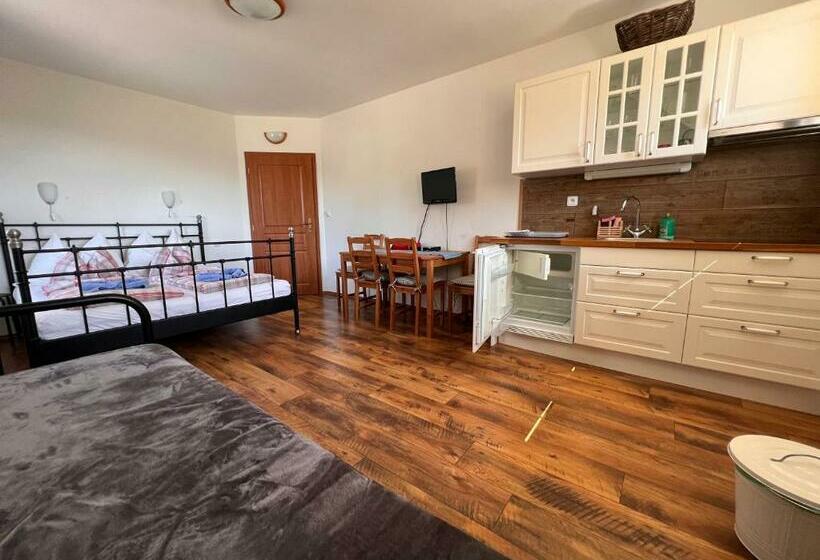 스탠다드 스튜디오, Penzion Farma žleby