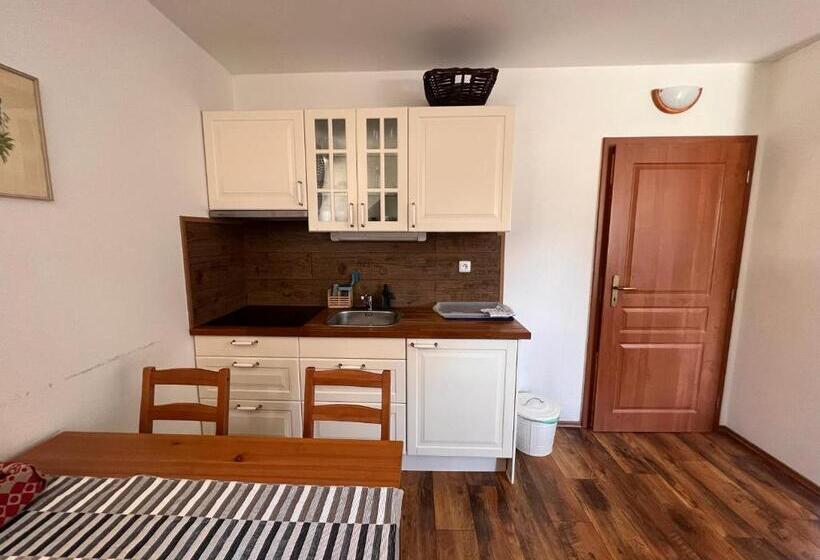 스탠다드 스튜디오, Penzion Farma žleby