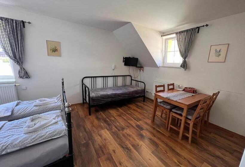 스탠다드 스튜디오, Penzion Farma žleby