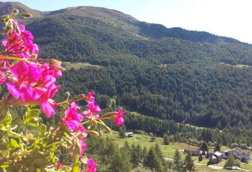 חדר סטנדרט, Belvedere Mountain Experience