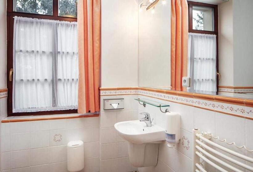 חדר סטנדרט, Javor