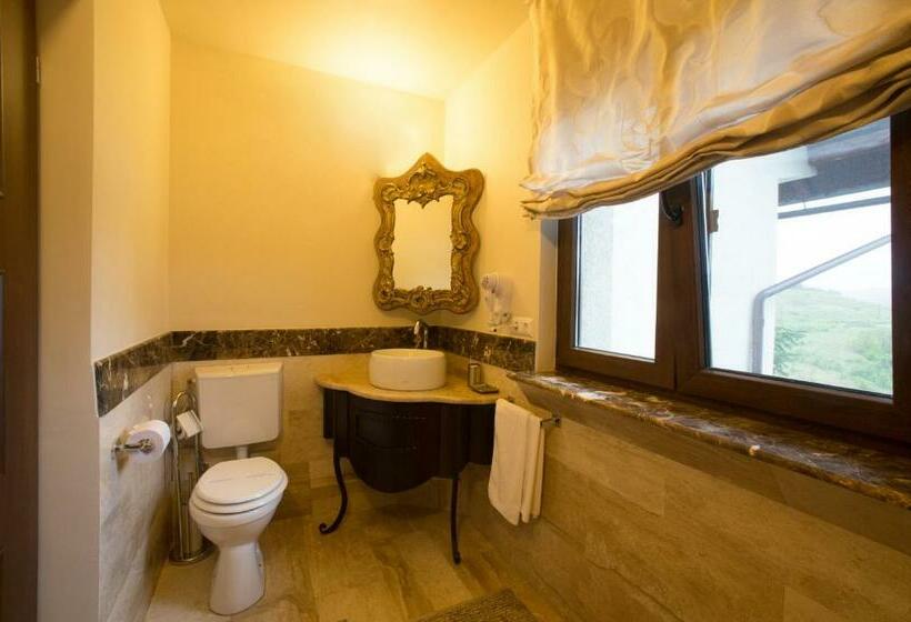 غرفة تنفيذية, Motel Cincis