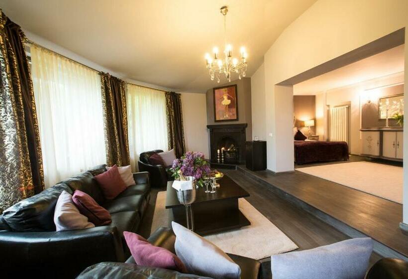 غرفة تنفيذية, Motel Cincis