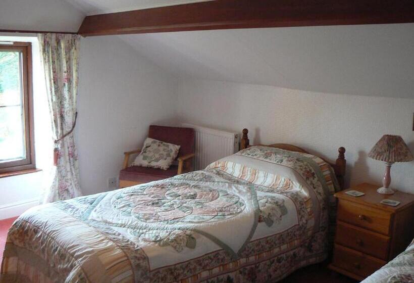 Номер Стандарт Совместная Ванная, Forest How Guest House