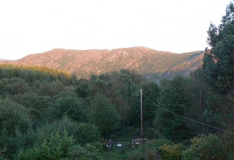 스탠다드 룸 공동 욕실, Forest How Guest House