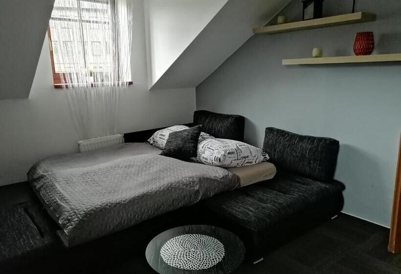 １ベッドルームのデラックスアパートメント, Penzion U Jana