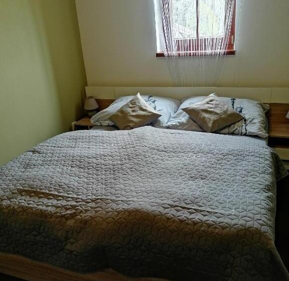 침실 1개 디럭스 아파트, Penzion U Jana