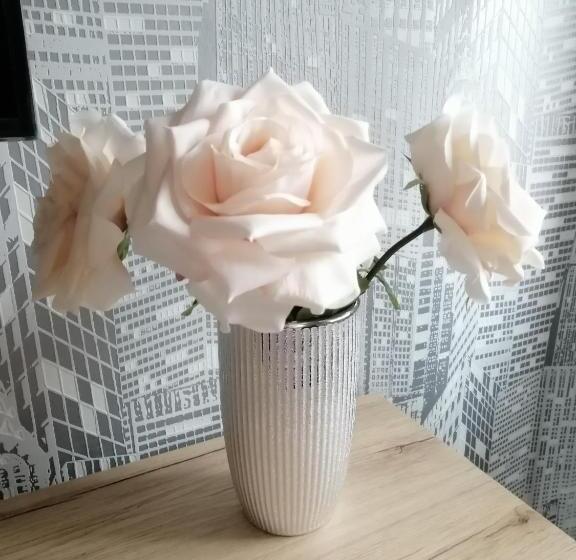 침실 1개 디럭스 아파트, Penzion U Jana