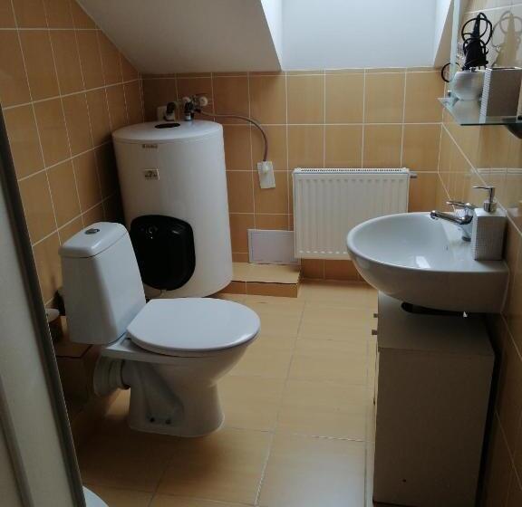 침실 1개 디럭스 아파트, Penzion U Jana