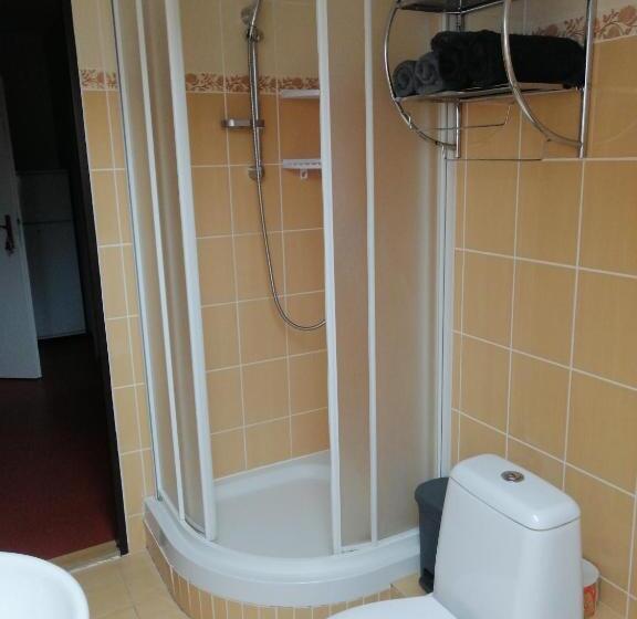 １ベッドルームのデラックスアパートメント, Penzion U Jana