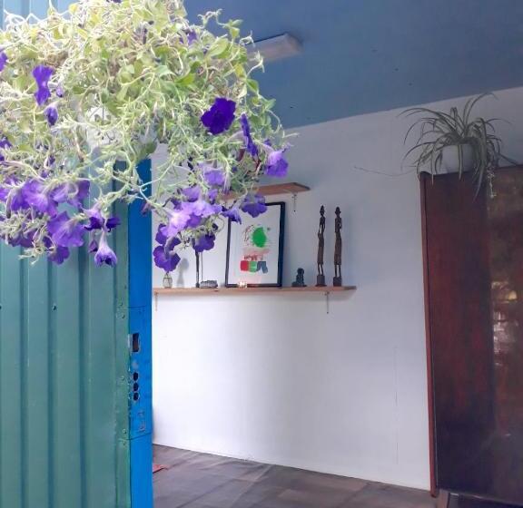 منزل غرفة نوم واحدة, Black Cube