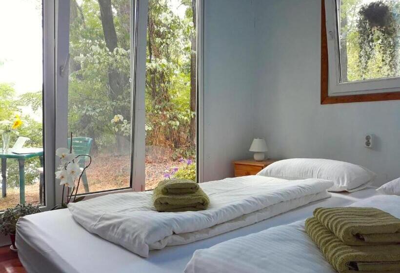 منزل غرفة نوم واحدة, Black Cube