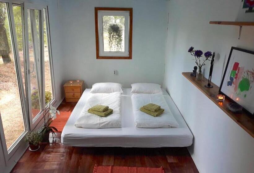 منزل غرفة نوم واحدة, Black Cube