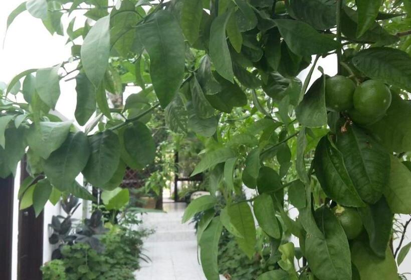 غرفة عائلية, Family Hotel Belvedere