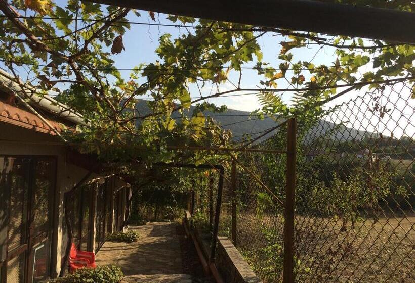 带花园景观和一个卧室的别墅, Family Hotel Belvedere
