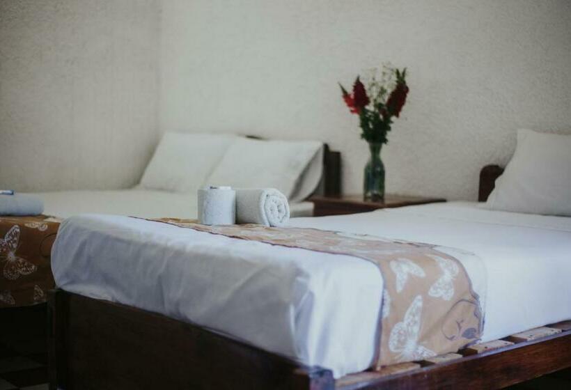 Номер Economy, Posada San Jose