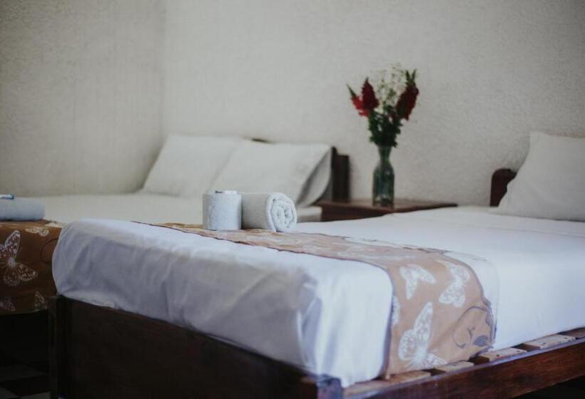 Номер Стандарт, Posada San Jose